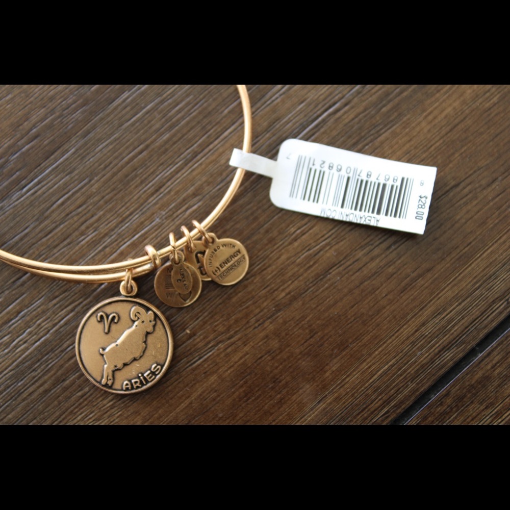Alex & Ani Aries Charm Bracelet